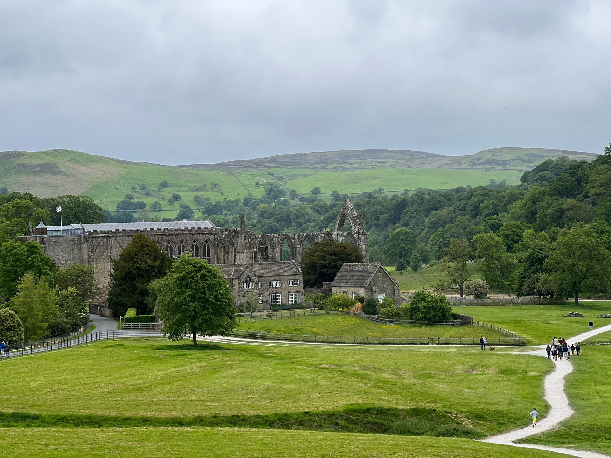 WhatsApp Image 2026-01-28 at 11.29.25